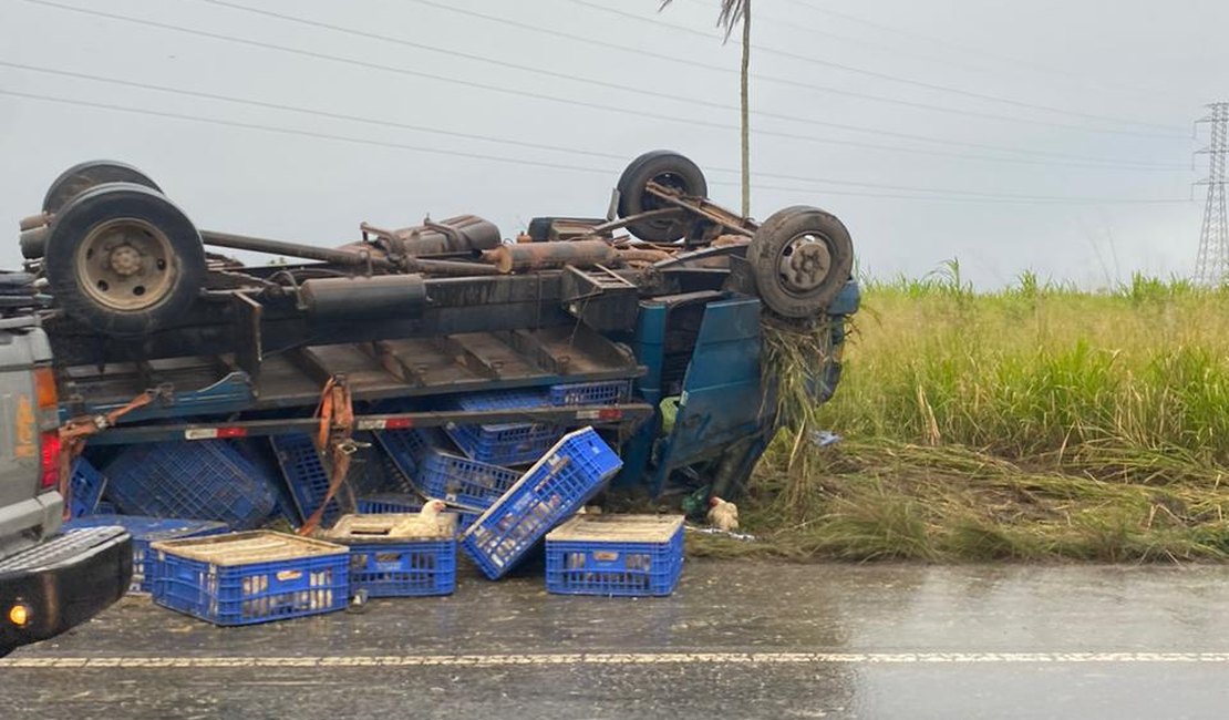 Caminhão que transportava galinhas vivas tomba na zona rural de Arapiraca