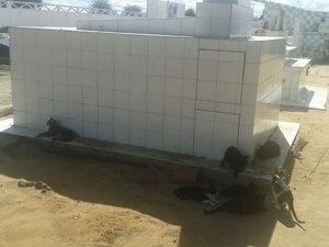 Vereador reclama de cães e gatos em túmulos de cemitério