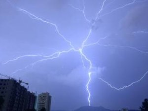 Pai e filho morrem atingidos por um raio enquanto cortavam eucaliptos