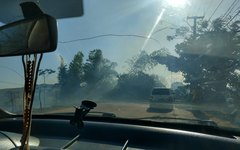 Incêndio provoca queda de bambu e prejudica trânsito em Porto Calvo