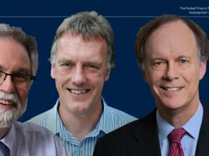 Nobel de Medicina vai para descoberta da adaptação de células humanas à disponibilidade de oxigênio