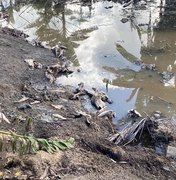 IMA e Batalhão Ambiental flagram abate clandestino de carne em São Luís do Quitunde