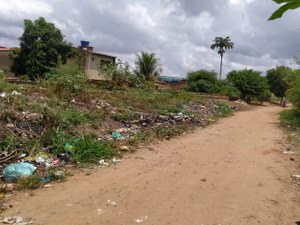 Moradores sofrem com acúmulo de lixo e falta de pavimentação em Rua de Palmeira dos Índios