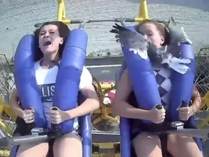 Garota é 'atingida' por gaivota em brinquedo radical de parque dos EUA