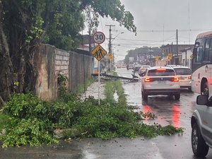 Colisão termina com poste derrubado e falta de energia no bairro Santa Lúcia