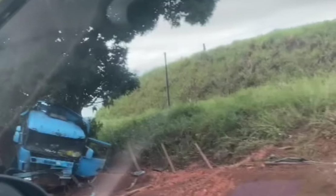 Carreta colide em árvore e motorista fica ferido em Novo Lino