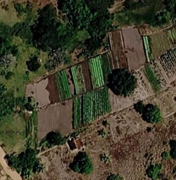 Denúncia aponta uso de água poluída para irrigar hortaliças em Arapiraca