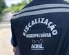 Edital do concurso da Adeal é divulgado com 44 vagas e salários de até R$ 7,3 mil