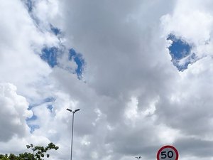 SMTT Arapiraca orienta condutores sobre cuidados com animais nas vias