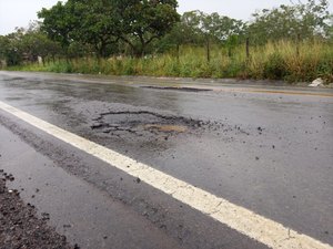 [Vídeo] Buracos na AL 115 trazem riscos aos condutores entre Arapiraca e Lagoa da Canoa