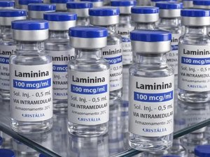 Testes clínicos fase 1 da polilaminina começam este mês