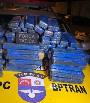 Polícia Militar apreende 71kg de maconha pronta para consumo na BR-316
