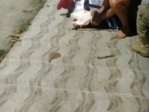 PM salva dono de pitbull de ataque do animal no Benedito Bentes