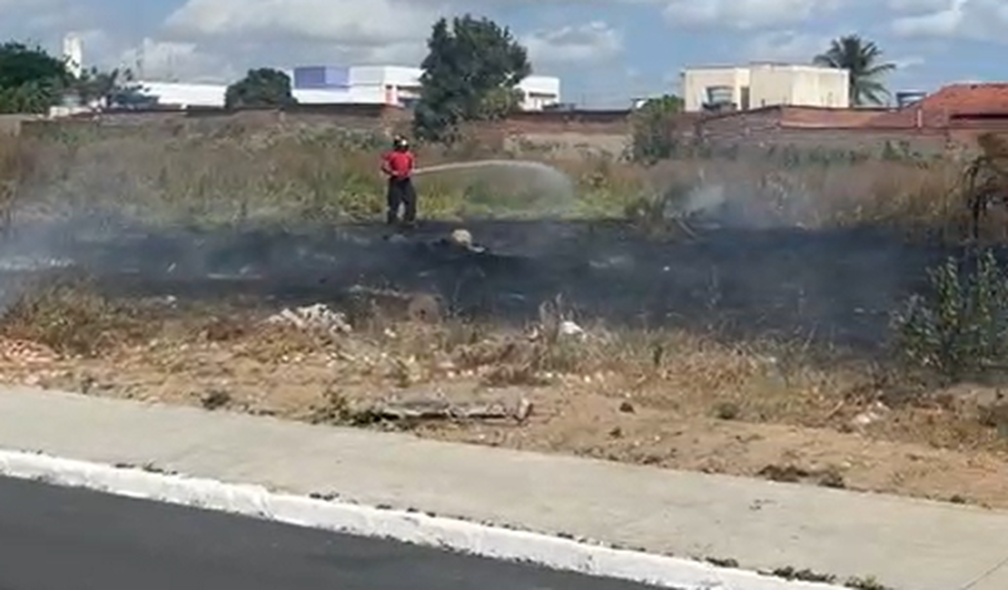 [Vídeo] Incêndio atinge terreno baldio no bairro Brasiliana, em Arapiraca