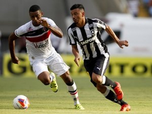 Botafogo pode ser campeão em meio às críticas