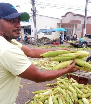[Vídeo] Procura pelo milho verde aumenta em Arapiraca na véspera de São João