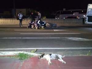 Condutora atropela animal e acaba ferida na AL-110