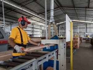 Governo estima que mais de 30 empresas se instalem em Alagoas em dois anos