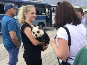 Turistas pagavam para tirar fotos com 'panda' filhote que na realidade era um cachorro