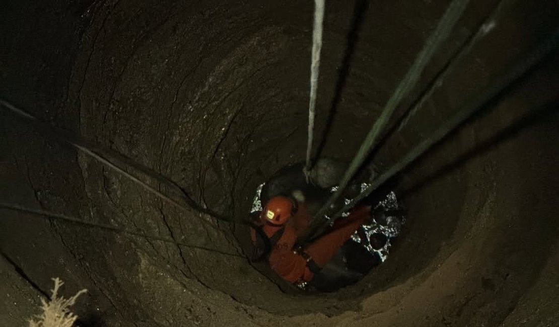 Boi cai em poço de mais de 30 metros e é resgatado por bombeiros em Feira Grande