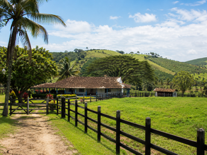 Produtores rurais de Alagoas têm até setembro para declarar o ITR 2026