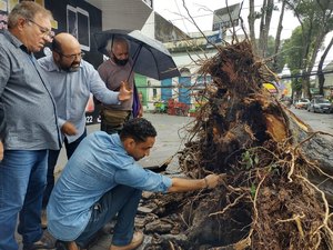 Equipes da Sudes são acionadas para inspecionar arvores no Centro de Maceió