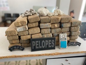 Jovem de 17 anos é autuado com mais de 20kg de maconha , em Arapiraca