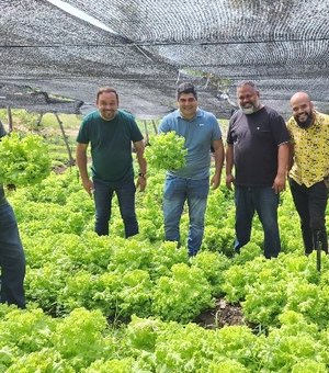 Projeto de Agricultura familiar gera renda em assentamento rural de Maragogi