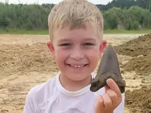 EUA: Menino de 8 anos acha dente de 12 cm de tubarão gigante pré-histórico