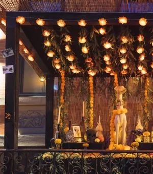 Tutora faz homenagem diferente para cão falecido e comove a web