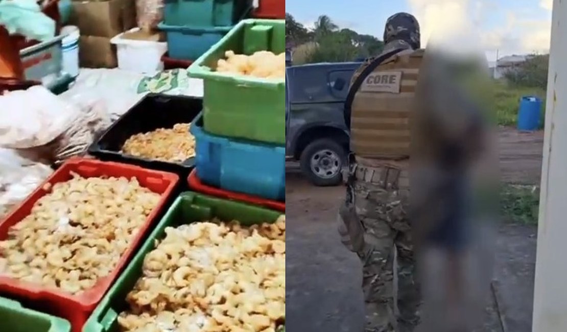 Golpe do camarão: quadrilha atraía investidores em AL e PE e pagava com cheques sem fundos