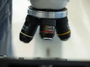 Pesquisadores da USP investigam vírus sabiá, ressurgido no Brasil após 20 anos