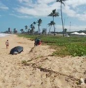 Homem em competição de handsurf veio a óbito na praia de Jacarecica