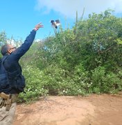 Centenas de animais silvestres resgatados pela FPI do São Francisco voltam para a natureza