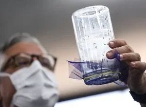 Brasília ganha biofábrica de mosquitos com tecnologia contra a dengue