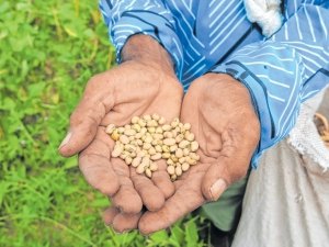 Pandemia faz renda das famílias mais pobres desabar mais de 21%