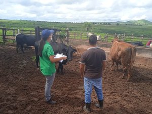Produtores rurais e criadores receberão apoio do município para escrituração de rebanhos
