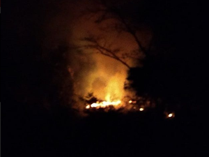 Incêndio destroi vegetação no Alto Sertão de Alagoas 
