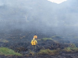 Incêndio atinge Reserva Ecológica em Murici