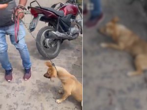 Homem é flagrado arrastando cachorro preso a uma corda com uma moto, em Arapiraca