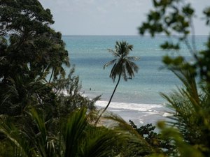 Reserva à beira-mar preserva patrimônio natural da Mata Atlântica em Japaratinga