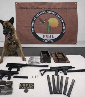 Polícia Militar apreende metralhadoras e drogas em ônibus interestadual, no Sertão