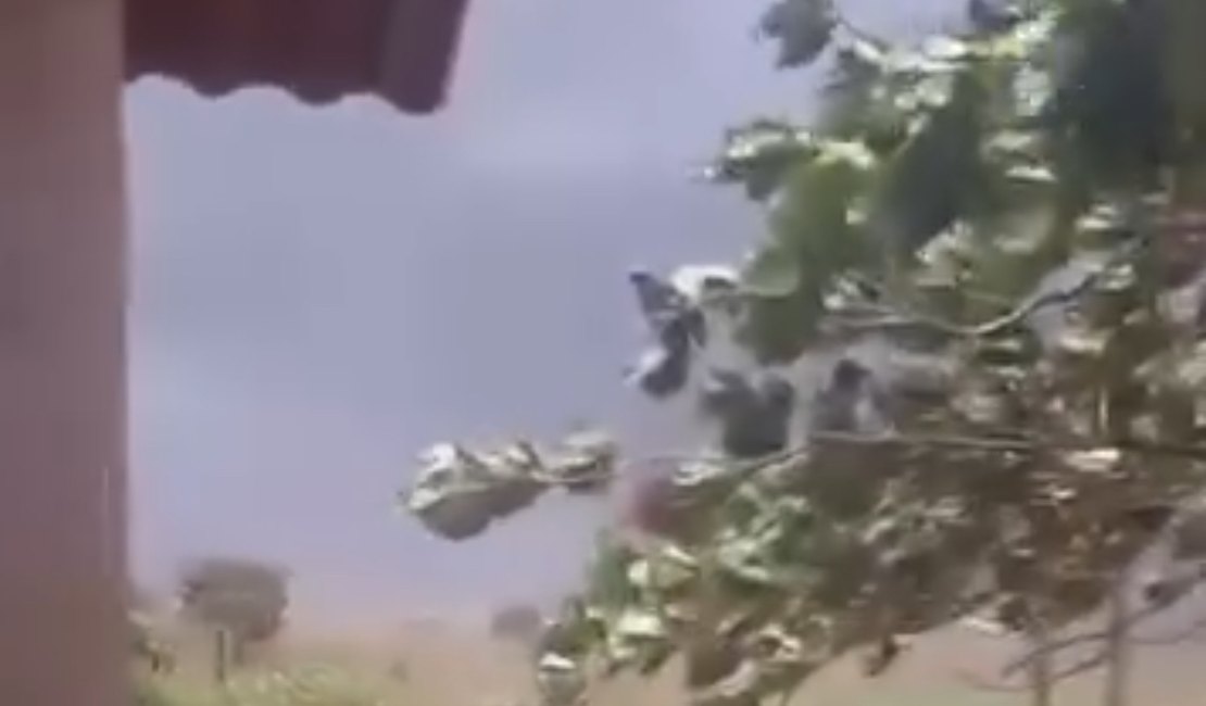 Forte ventania destelha residência durante chuva em Lagoa da Canoa