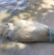 Corpo com fio enrolado no pescoço é encontrado dentro de saco na Lagoa Manguaba