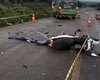 Colisão entre motocicletas deixa um morto na zona rural do município de Craíbas