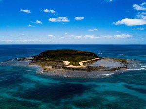 Fragmentos de óleo são encontrados em ilha do arquipélago de Abrolhos