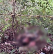 Homem é encontrado morto com rosto mutilado ﻿em Matriz de Camaragibe