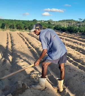 Agricultores preparam a terra para o plantio do milho no Dia de São José