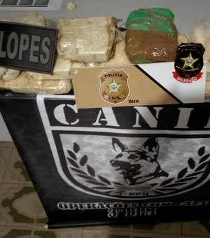 [Vídeo] Drogas avaliadas em R$ 300 mil são encontradas enterradas em casa de traficante