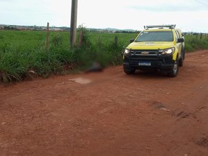 Corpo com os braços amarrados e marcas de tiros é encontrado em beira de estrada, em Arapiraca